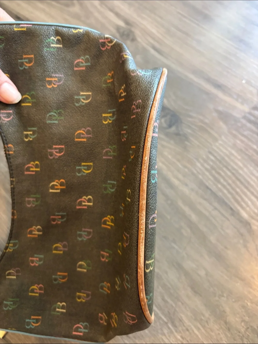 Vintage Dooney & Bourke Rainbow DB IT Bag Small Shoulder Hobo Bag Y2K